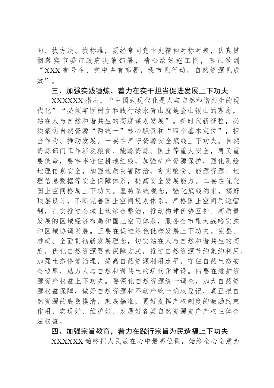 在自然资源系统主题教育专题读书班上的讲话.docx,第3页预览
