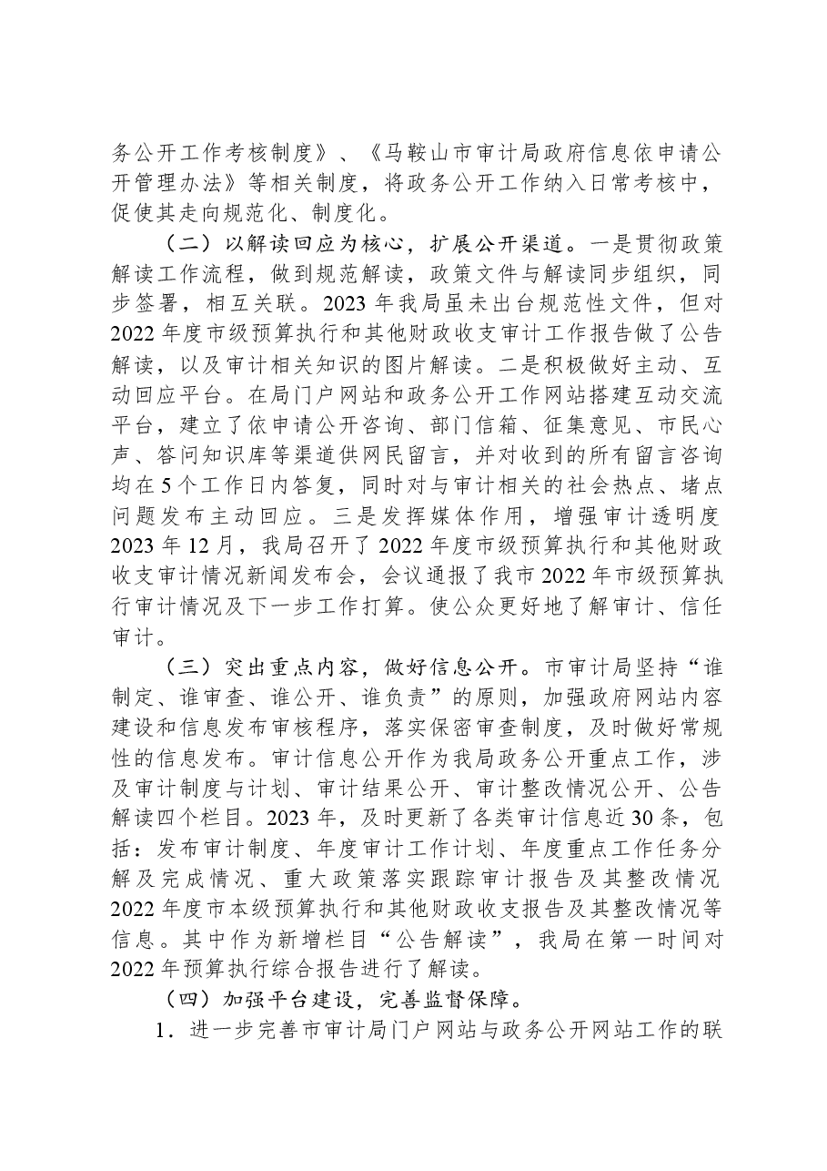 2023年市审计局政务公开工作总结.docx,第2页预览