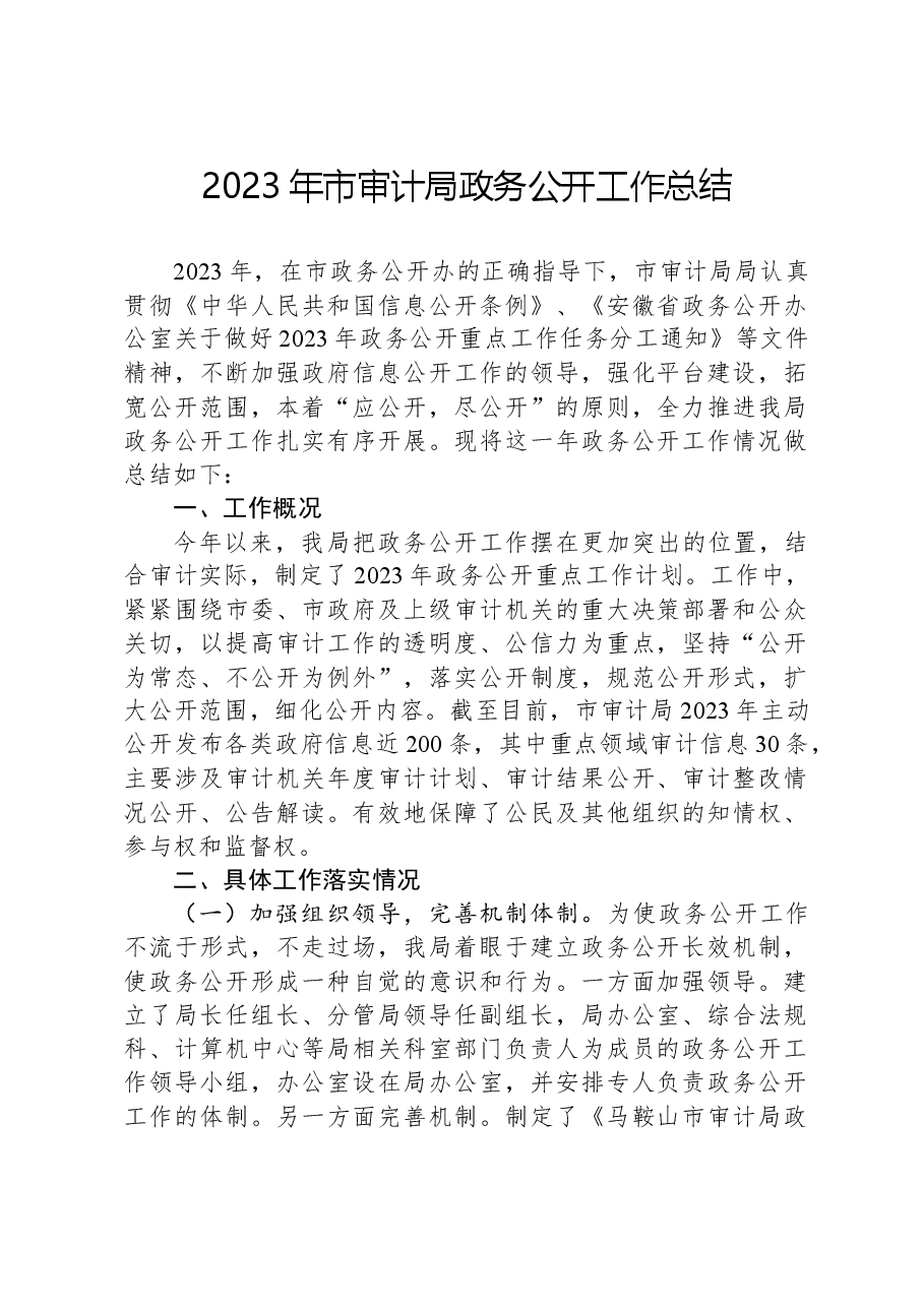 2023年市审计局政务公开工作总结.docx,第1页预览