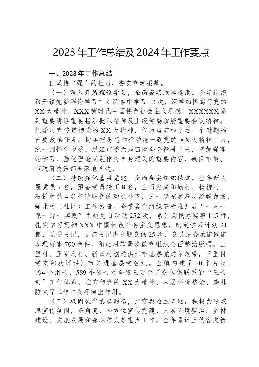 2023年工作总结及2024年工作要点.docx,第1页预览