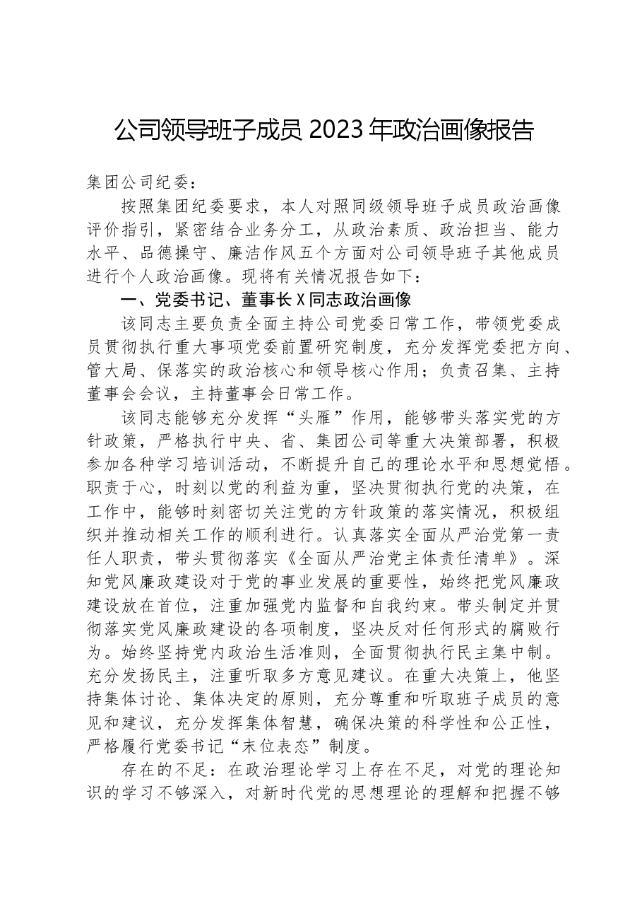 公司领导班子成员2023年政治画像报告.docx,第1页预览