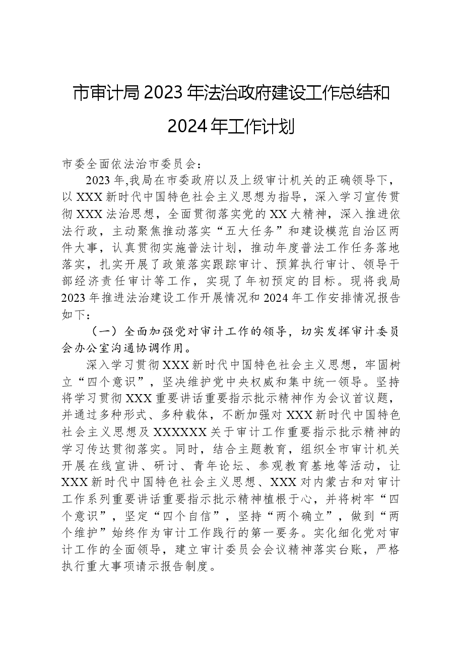 市审计局2023年法治政府建设工作总结和2024年工作计划.docx,第1页预览