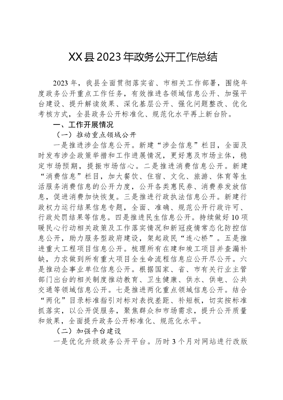 XX县2023年政务公开工作总结.docx,第1页预览