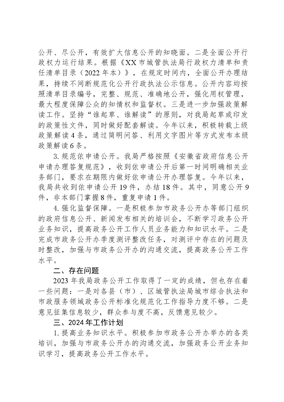 市城管执法局2023年政务公开工作总结及2024年工作计划.docx,第2页预览