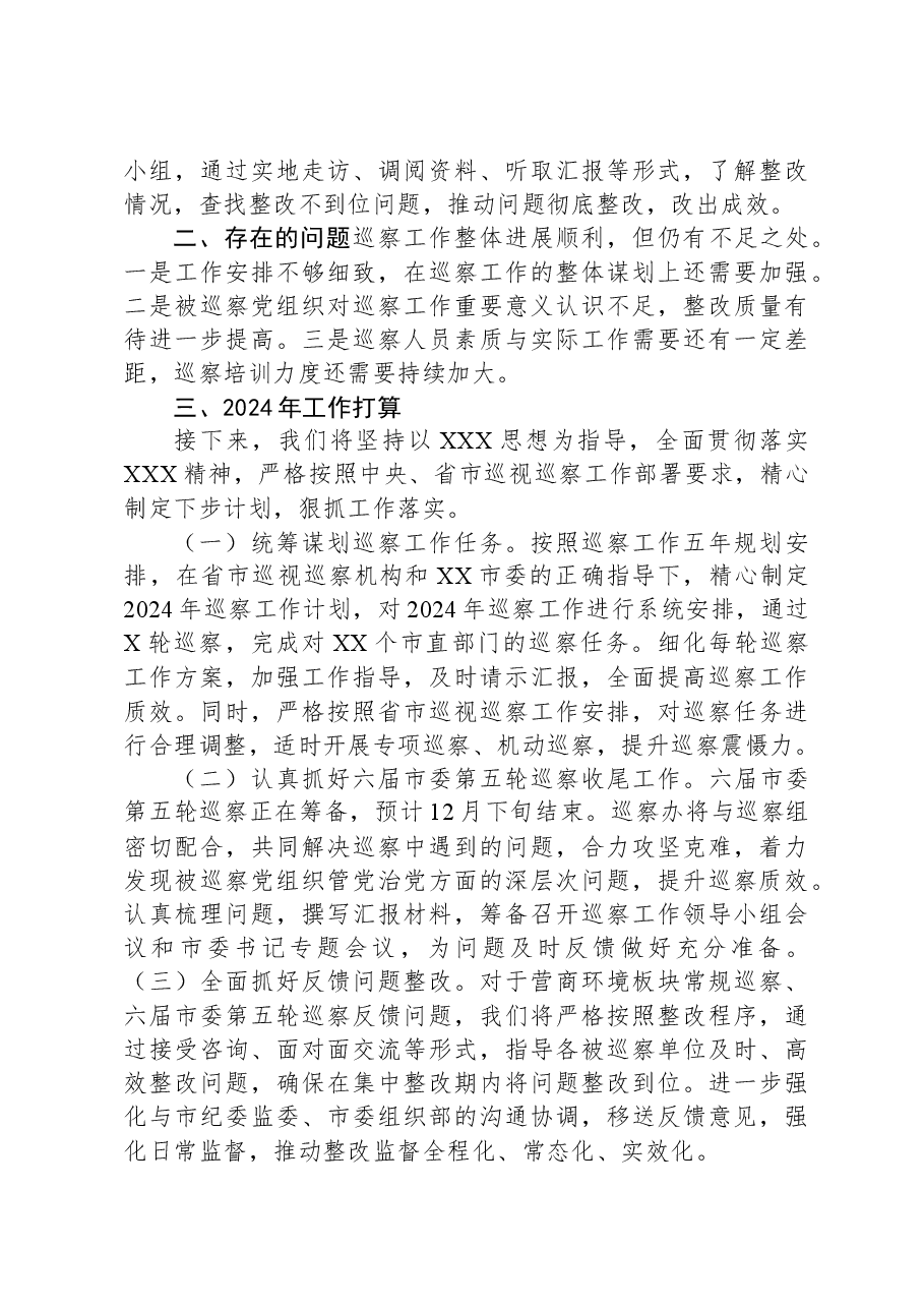 XX市2023年巡察工作总结及2024年工作计划.docx,第4页预览
