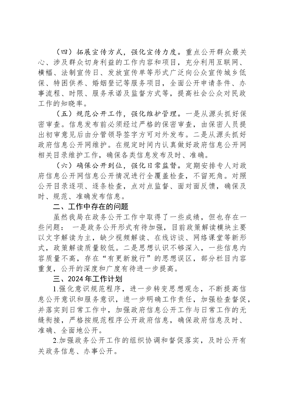 县民政局2023年政务公开工作总结.docx，第2页预览