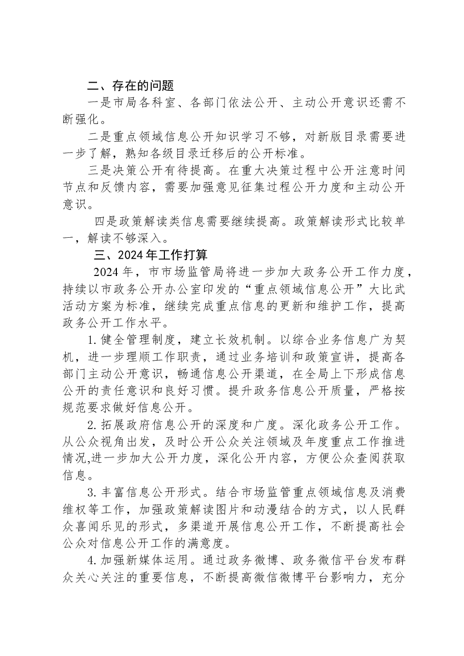 市市场监管局2023年政务公开工作总结及2024年工作计划.docx,第3页预览