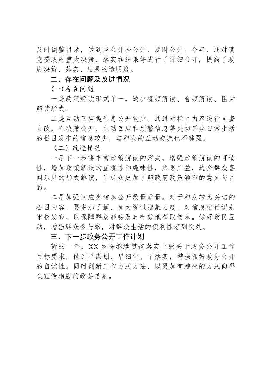 乡2023年政务公开工作总结.docx,第2页预览