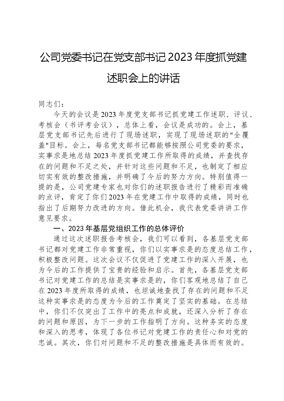 公司党委书记在党支部书记2023年度抓党建述职会上的讲话.docx,第1页预览