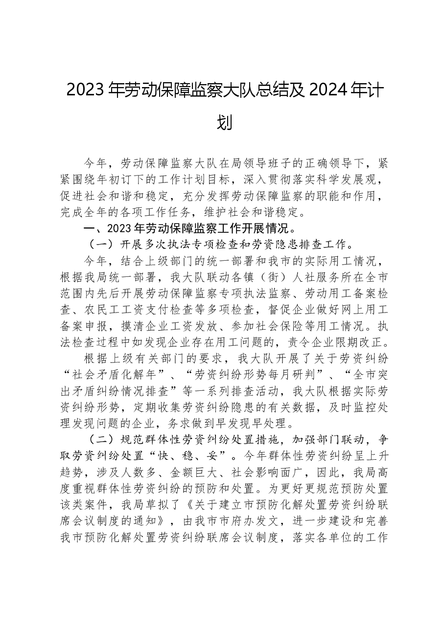 2023年劳动保障监察大队总结及2024年计划01.docx,第1页预览
