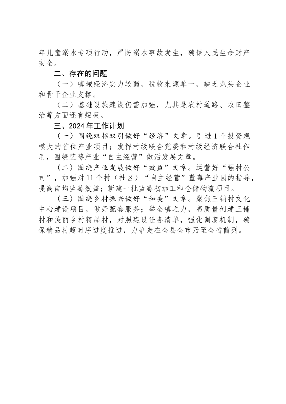 XX镇2023年工作总结和2024年工作计划01.docx,第3页预览