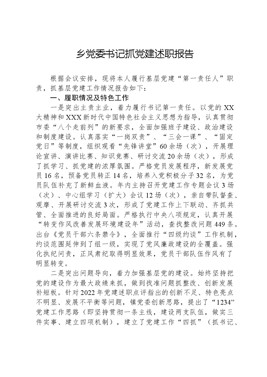 乡党委书记抓党建述职报告.docx,第1页预览