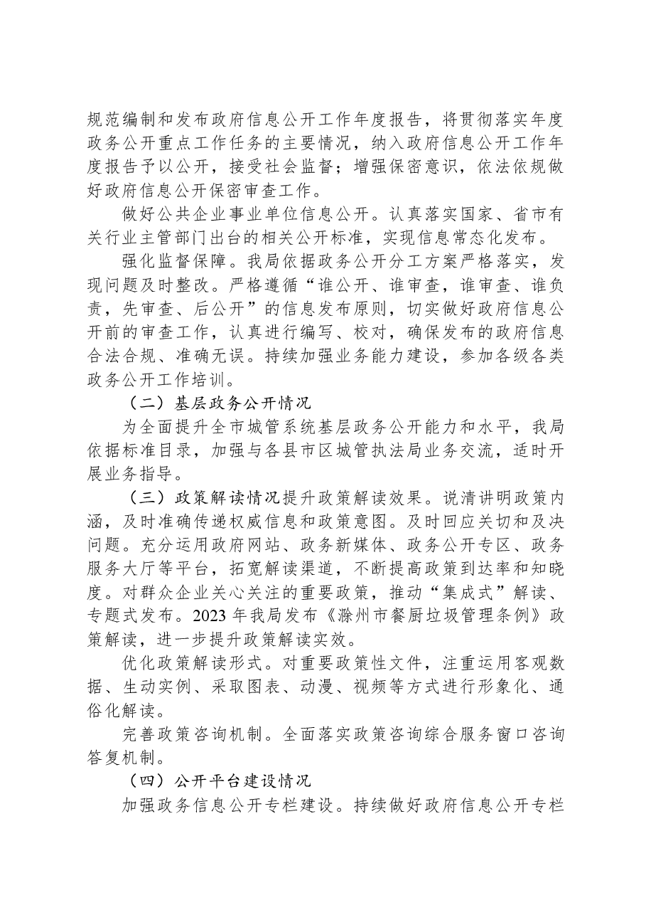 市城管执法局2023年度政务公开工作总结.docx,第2页预览