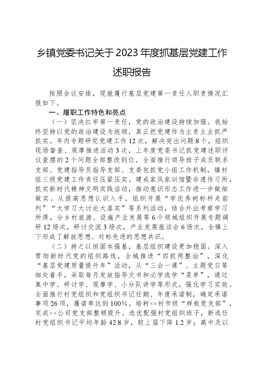乡镇党委书记关于2023年度抓基层党建工作述职报告.docx,第1页预览