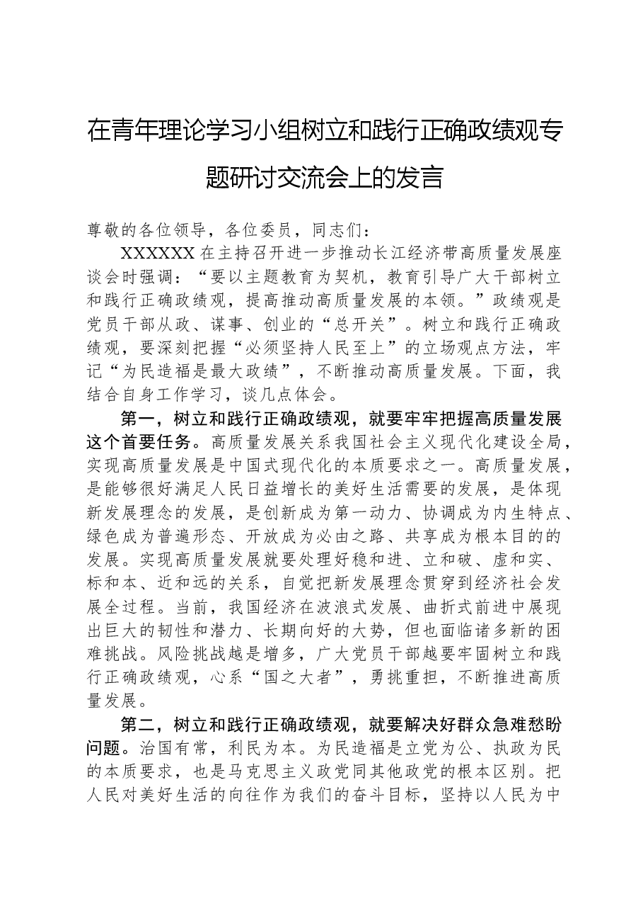 在青年理论学习小组树立和践行正确政绩观专题研讨交流会上的发言.docx,第1页预览