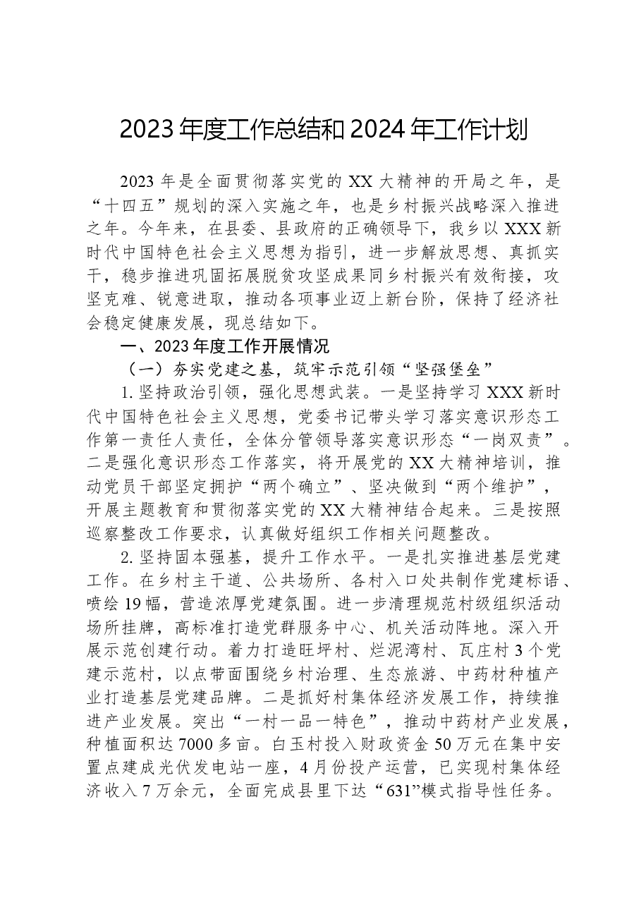 2023年度工作总结和2024年工作计划.docx,第1页预览