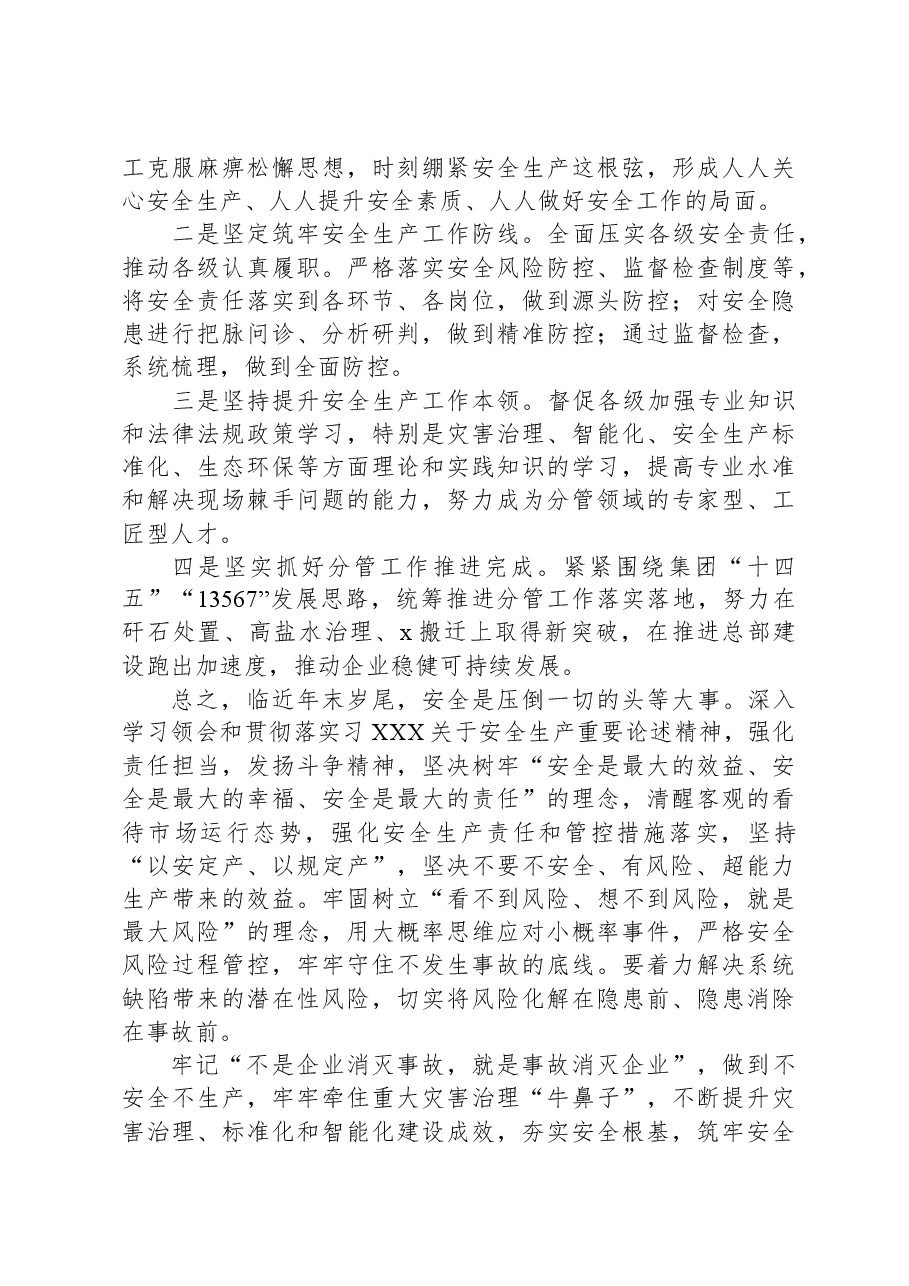 公司党委理论中心组关于安全生产的研讨交流发言材料.docx,第3页预览