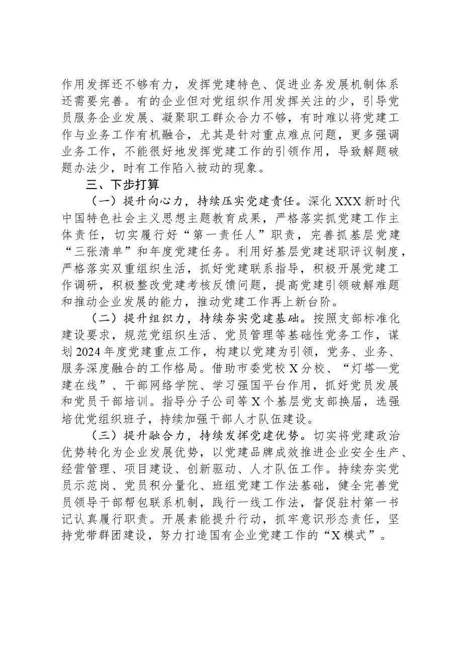 某公司党委书记2023年抓基层党建工作述职报告.docx，第3页预览