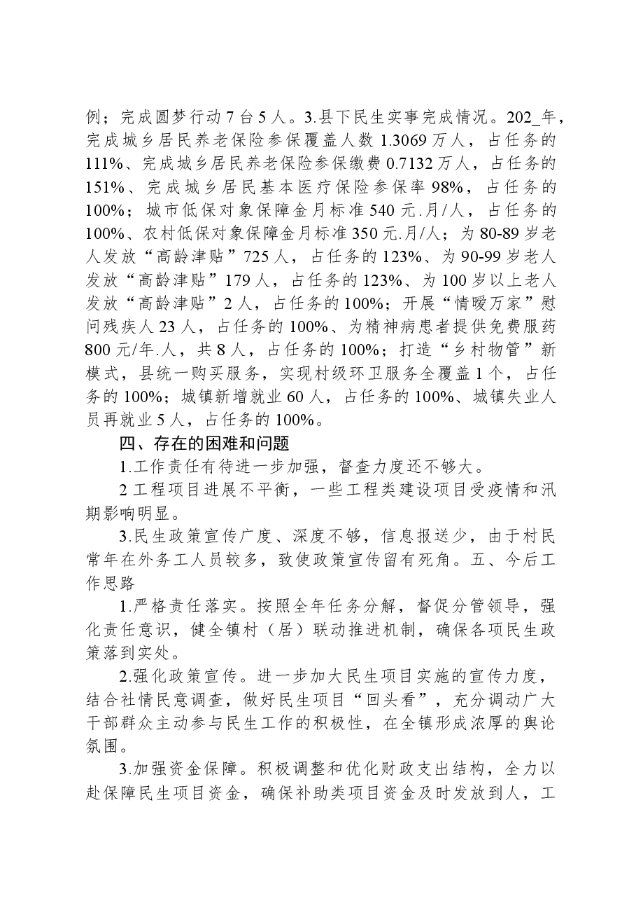 乡镇民生实事工作总结.docx，第3页预览