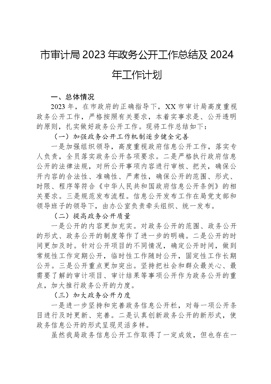 市审计局2023年政务公开工作总结及2024年工作计划.docx,第1页预览