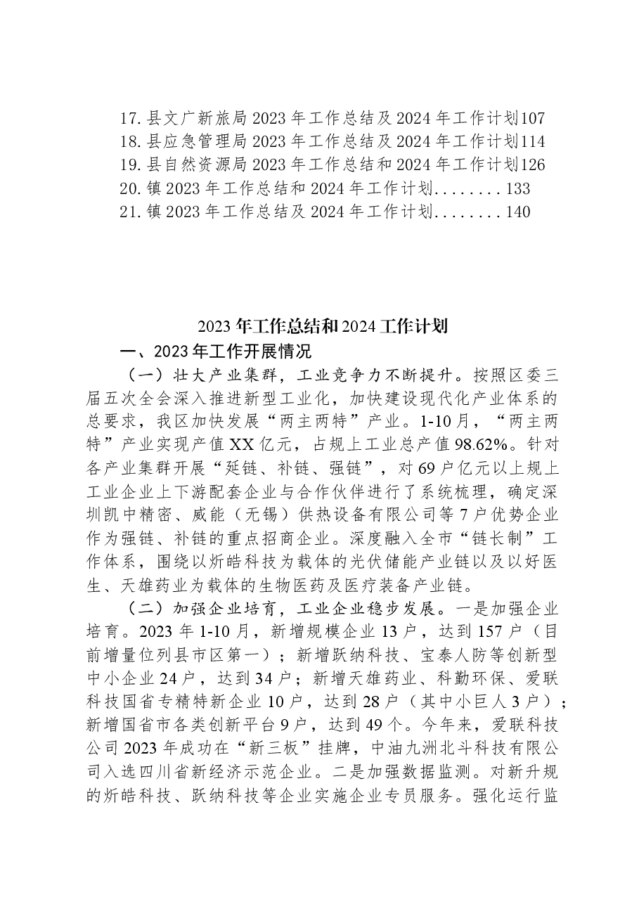 (21篇)2023年工作总结2024年工作计划汇编.docx,第2页预览