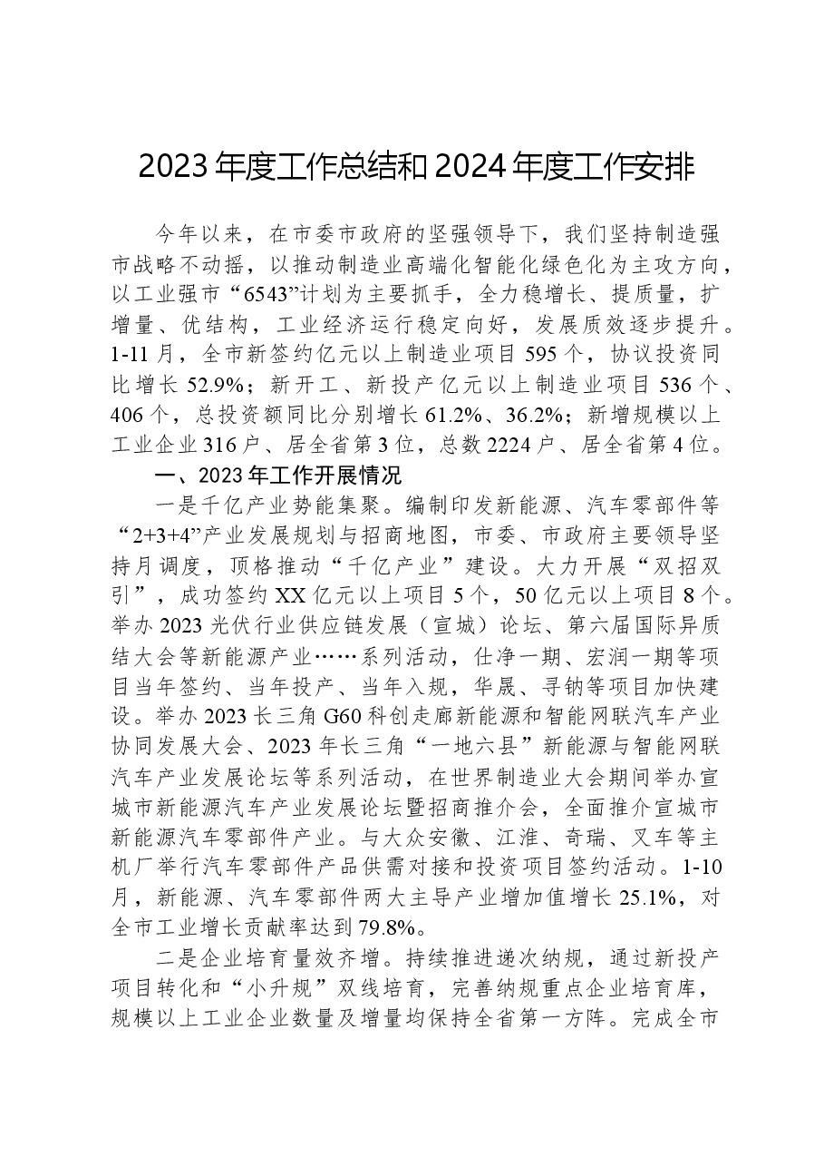 2023年度工作总结和2024年度工作安排.docx，第1页预览