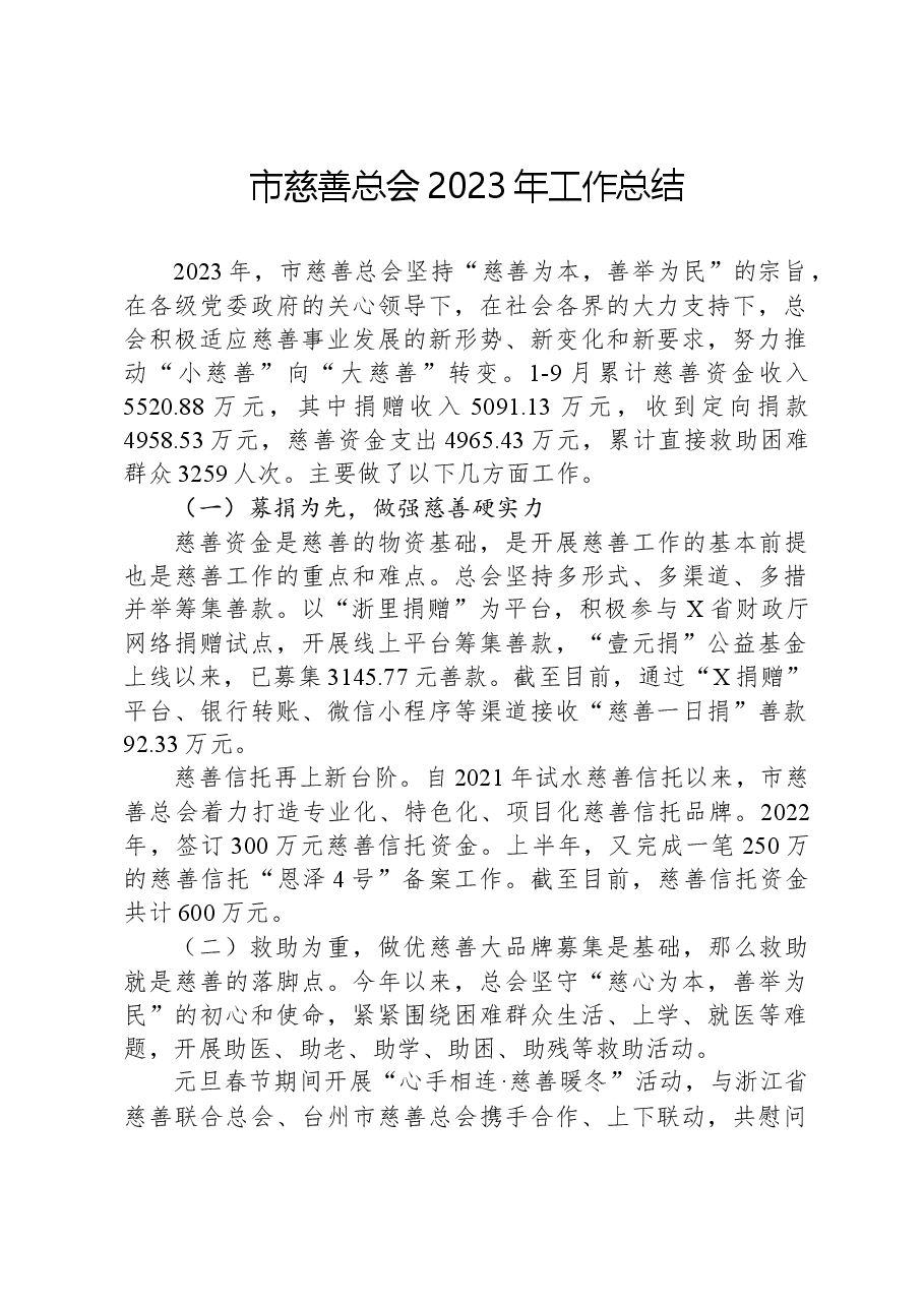 市慈善总会2023年工作总结.docx，第1页预览
