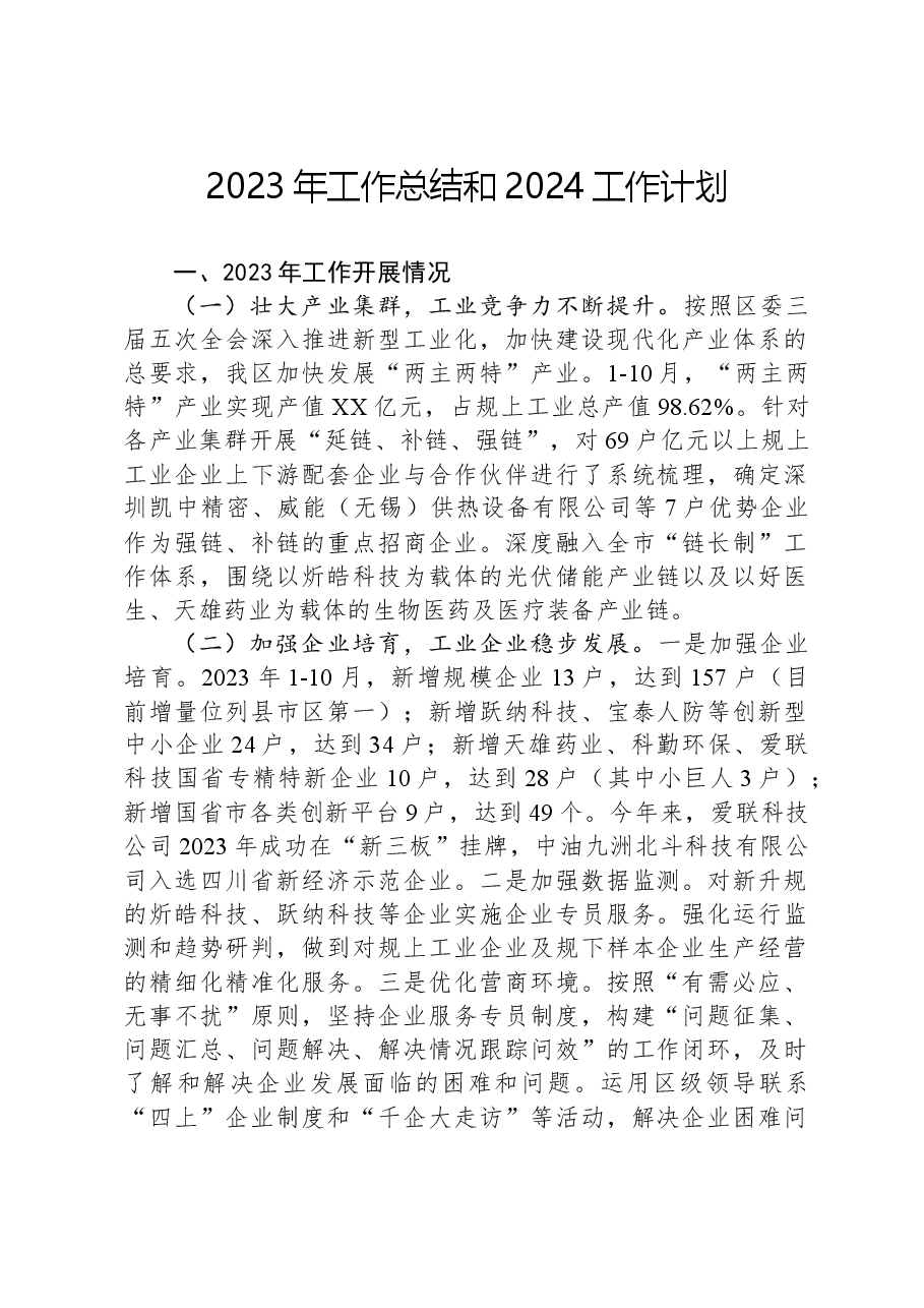 2023年工作总结和2024工作计划.docx,第1页预览