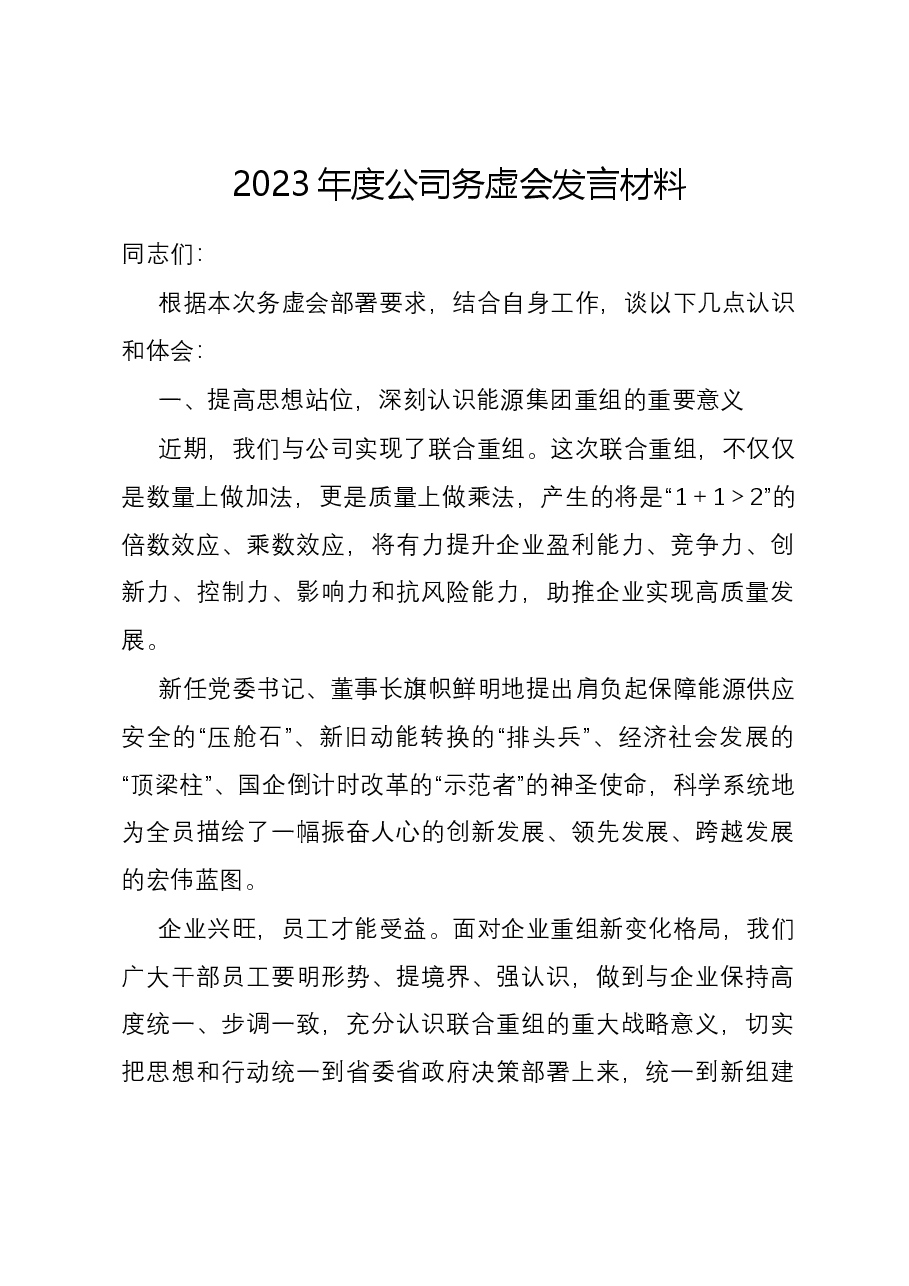 2023年度公司务虚会发言材料.docx,第1页预览
