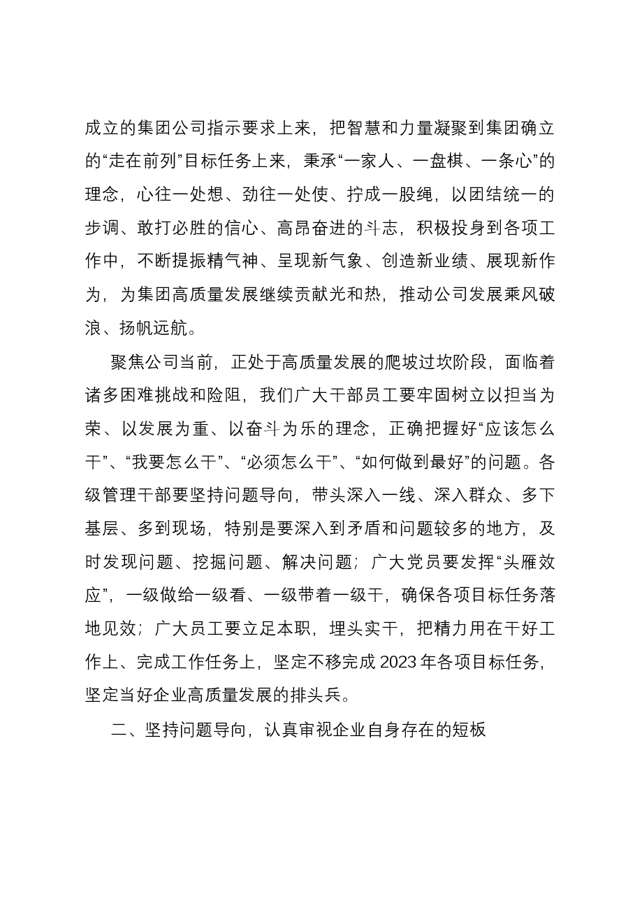2023年度公司务虚会发言材料.docx,第2页预览