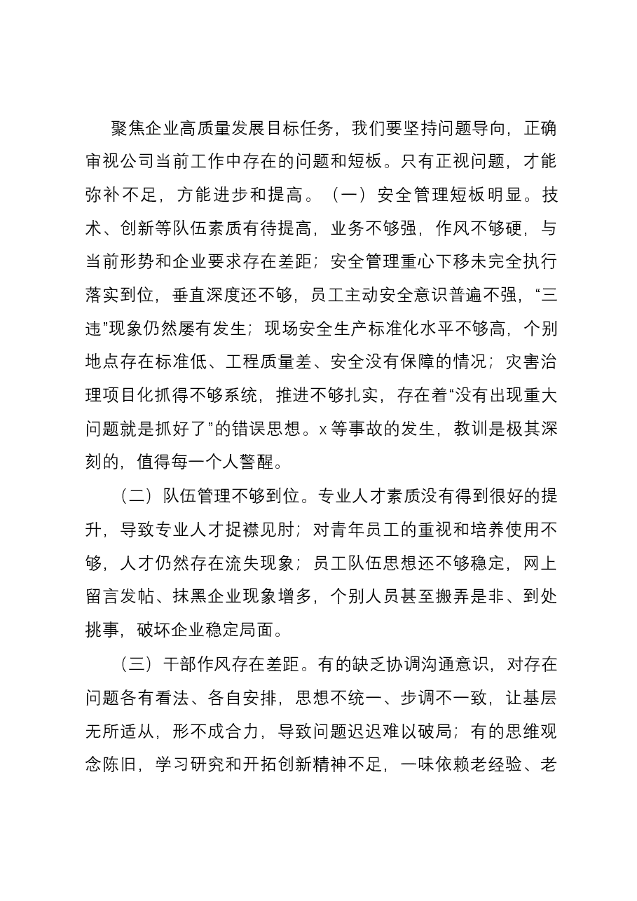 2023年度公司务虚会发言材料.docx,第3页预览