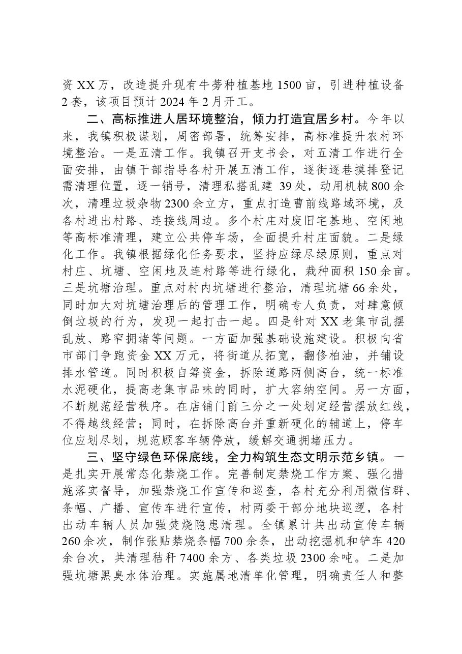 镇人民政府2023重点工作总结和2024年工作谋划.docx,第2页预览