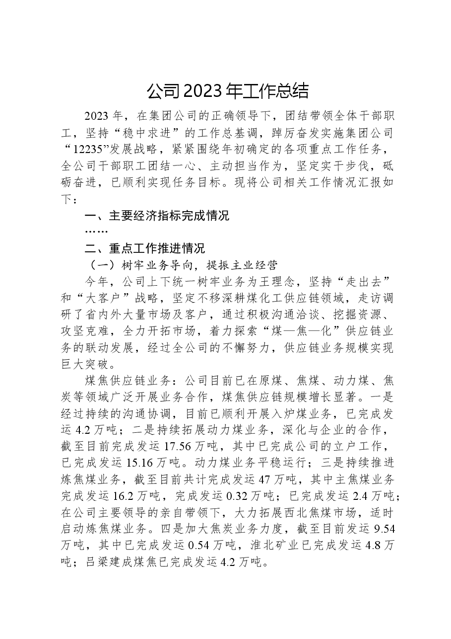 公司2023年工作总结.docx,第1页预览