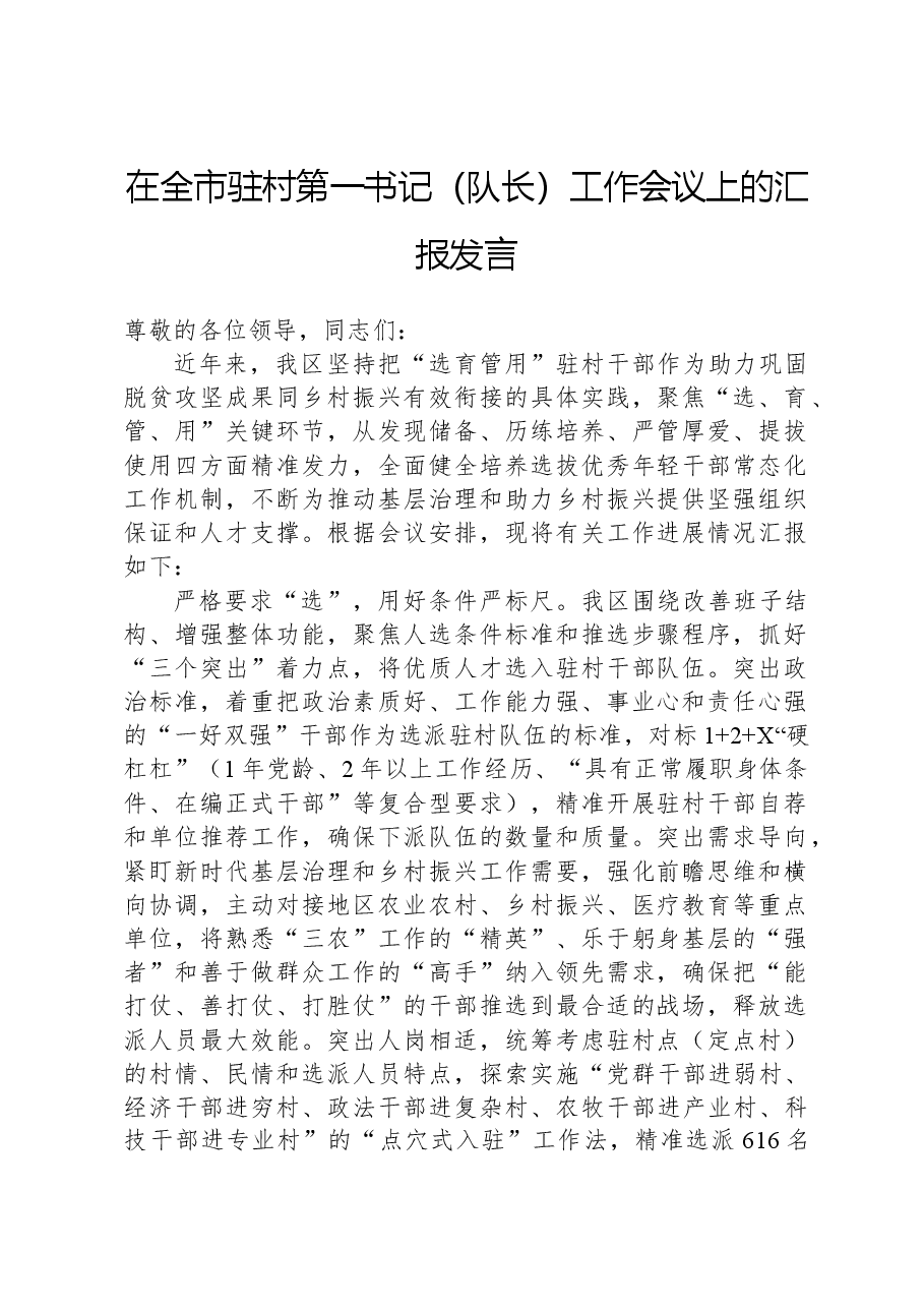 在全市驻村第一书记(队长)工作会议上的汇报发言.docx,第1页预览