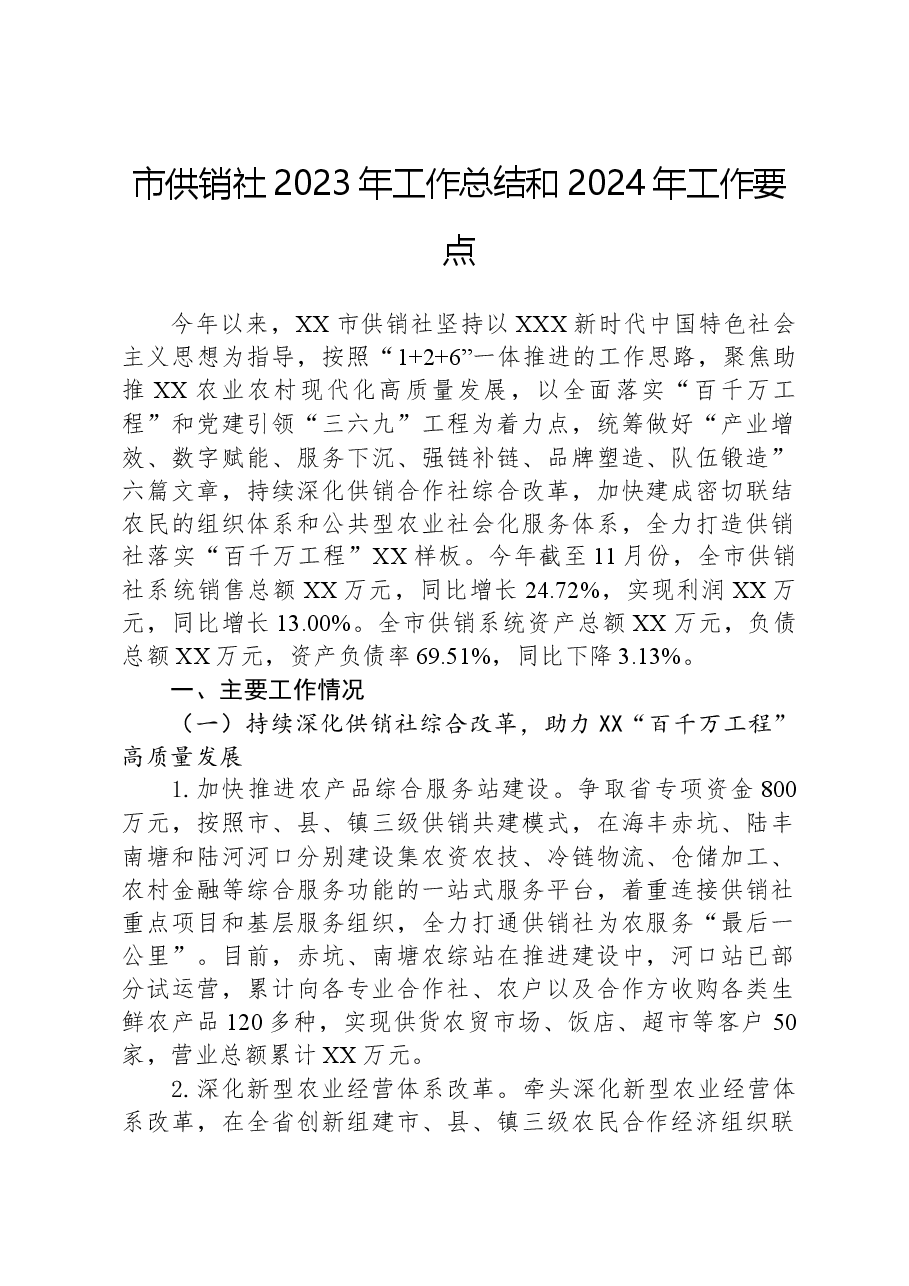 市供销社2023年工作总结和2024年工作要点.docx,第1页预览