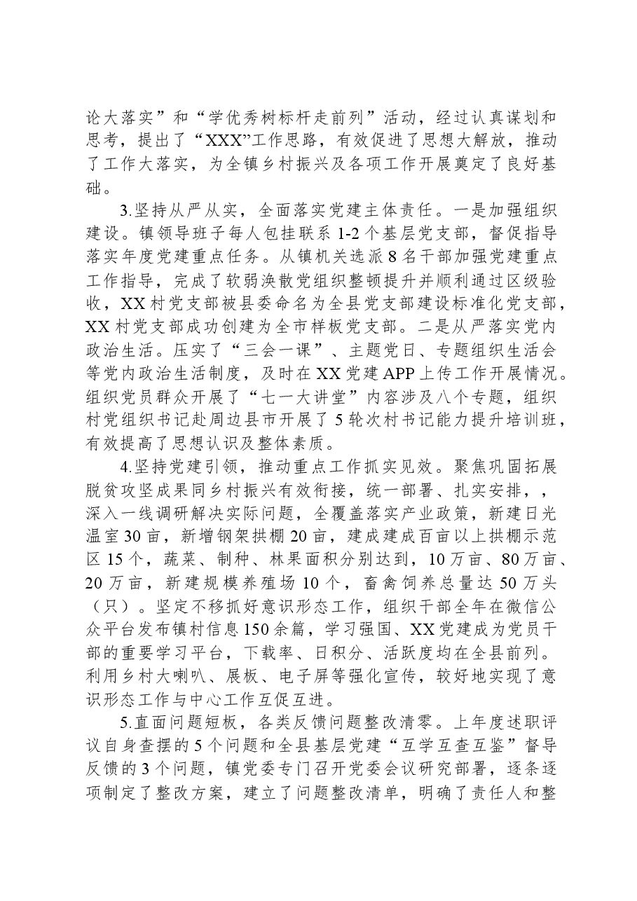 乡镇书记抓党建述职报告.docx，第2页预览