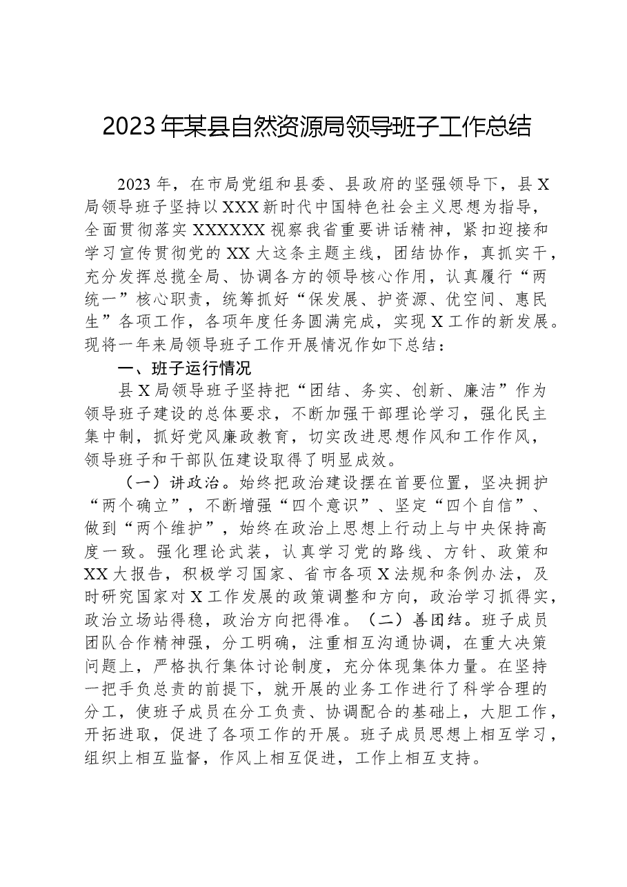 2023年某县自然资源局领导班子工作总结.docx,第1页预览