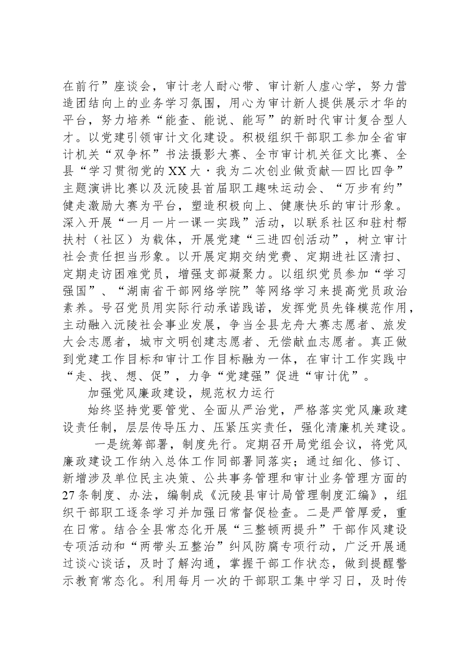 审计局2023年工作总结.docx,第4页预览