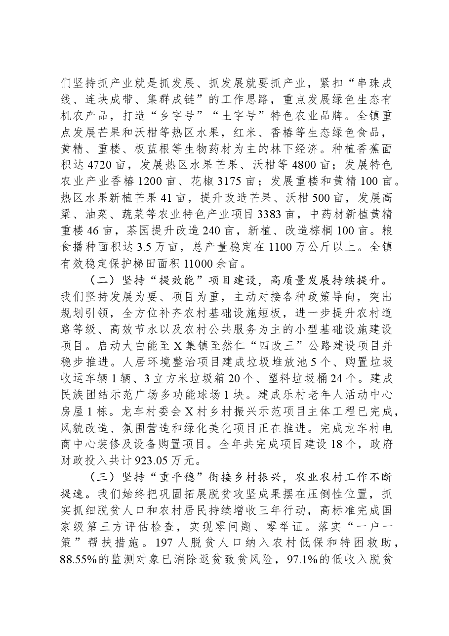 2023年乡镇政府工作报告.docx,第2页预览