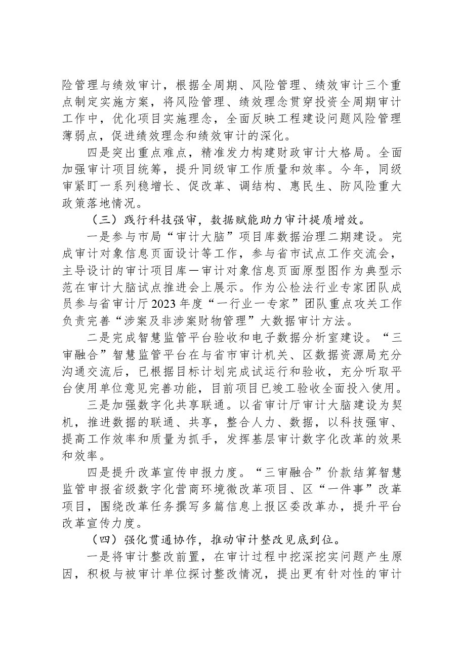区审计局2023年工作总结及2024年工作思路.docx,第2页预览