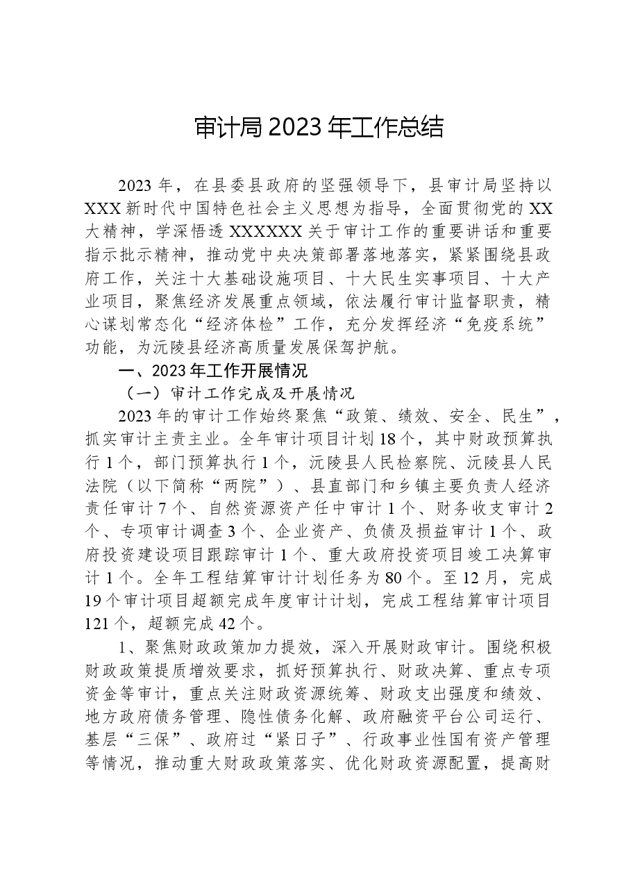 审计局2023年工作总结.docx,第1页预览
