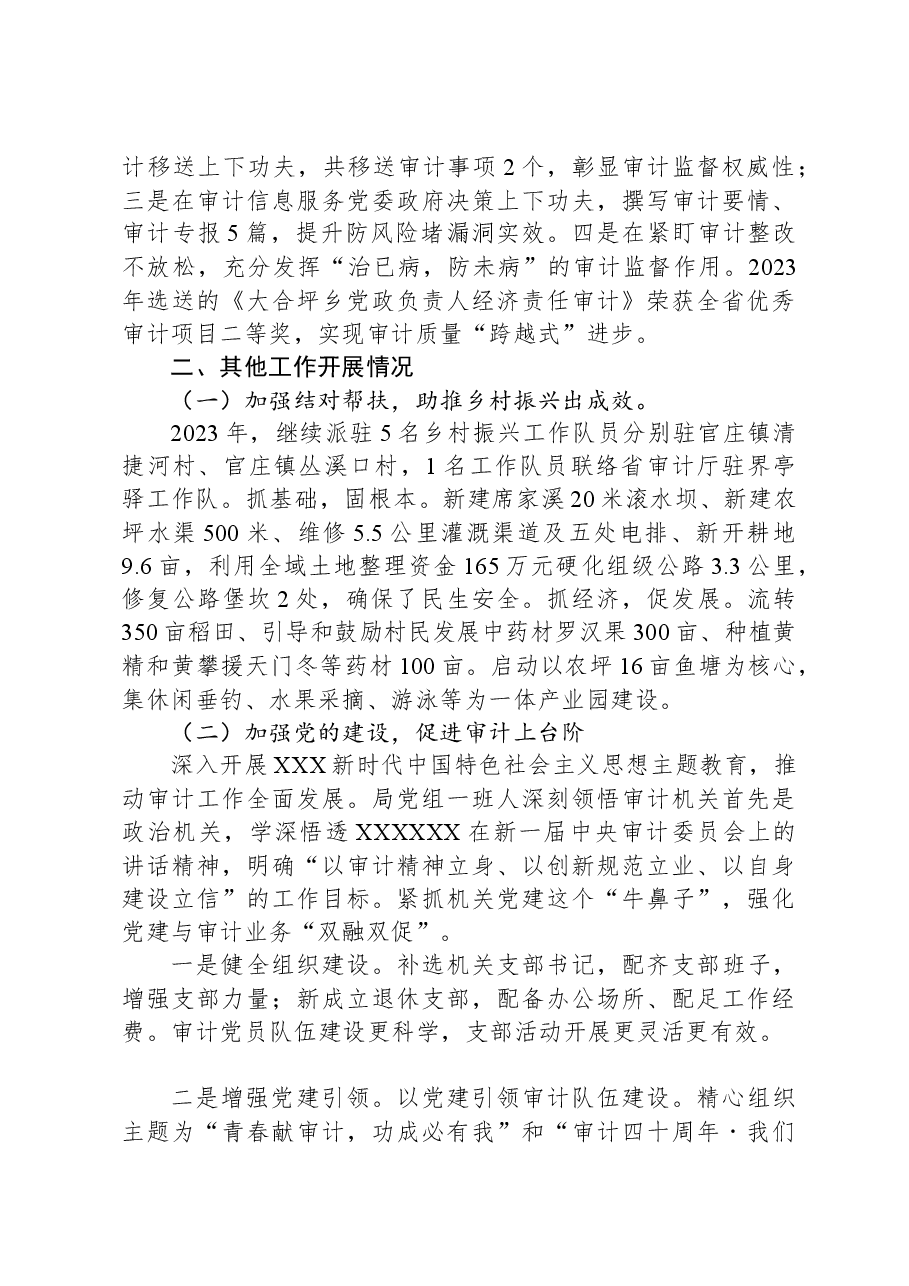 审计局2023年工作总结.docx,第3页预览