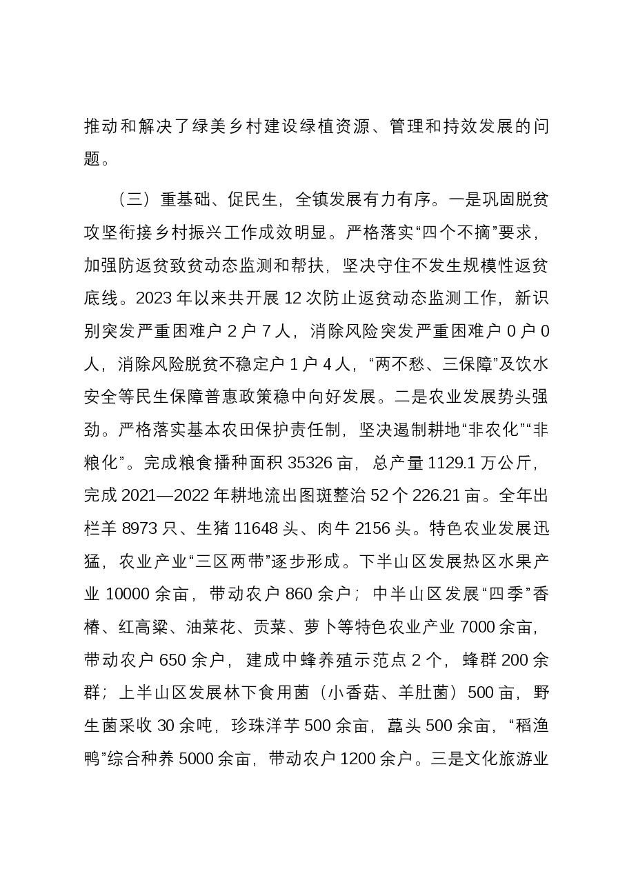 乡镇领导班子2023年度工作总结.docx,第4页预览