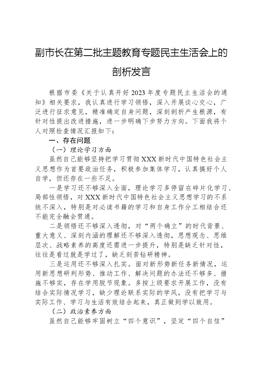 副市长在第二批主题教育专题民主生活会上的剖析发言.docx,第1页预览