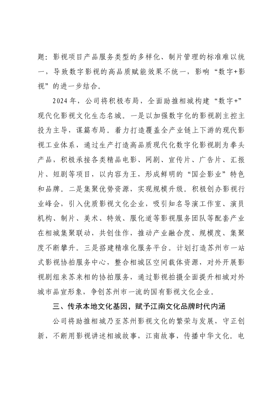 2024年度务虚工作会议发言材料-公司.docx,第4页预览