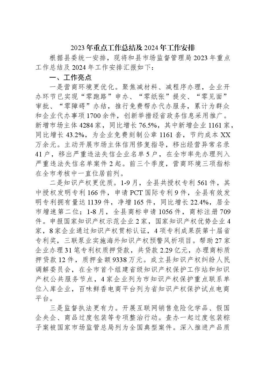 2023年重点工作总结及2024年工作安排.docx,第1页预览