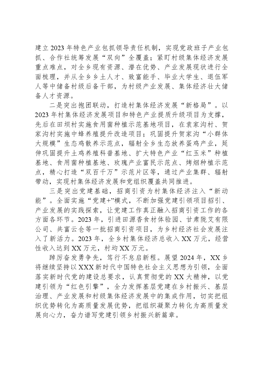 XX乡2023年度工作总结.docx,第3页预览