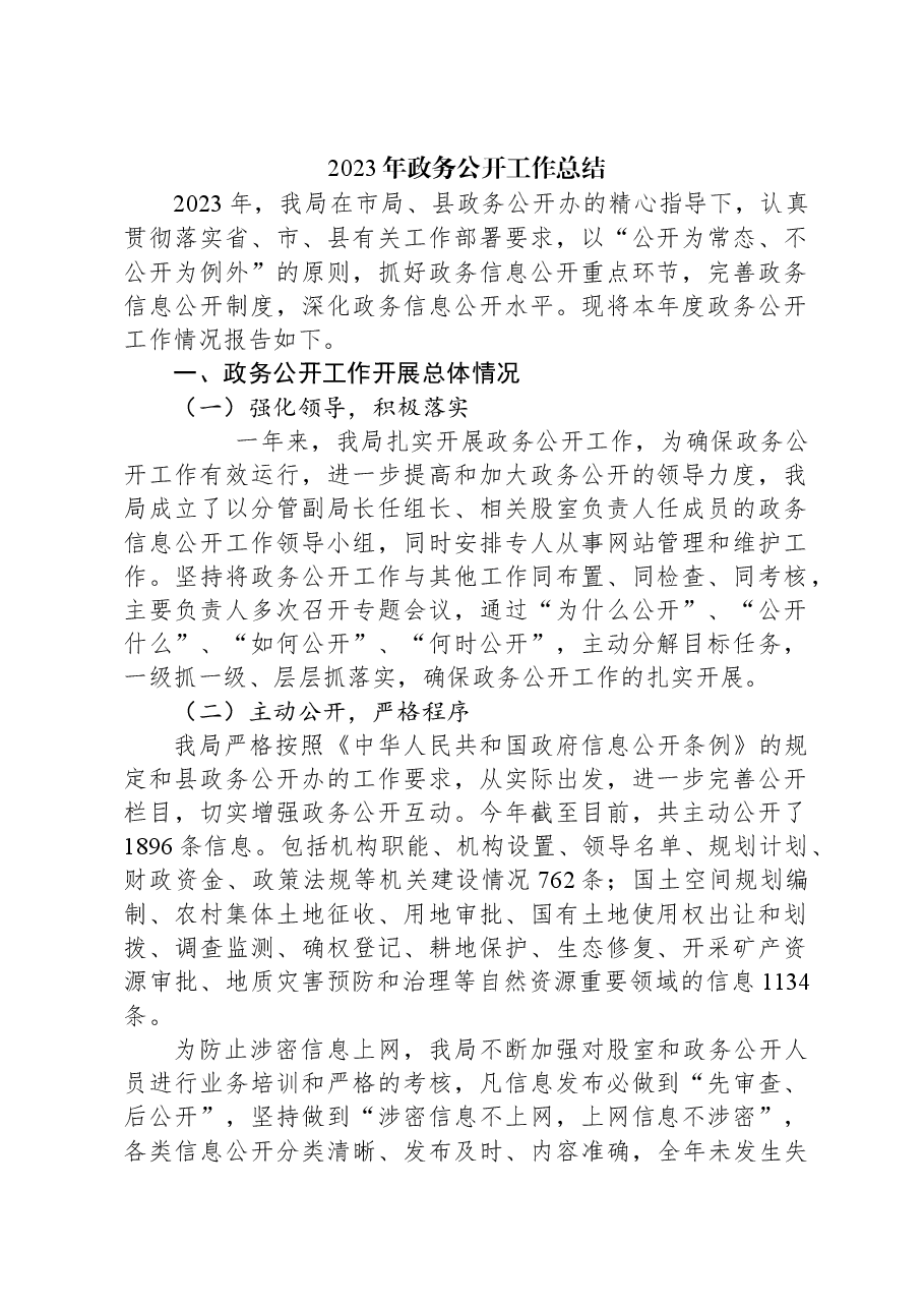 2023年政务公开工作总结.docx,第1页预览