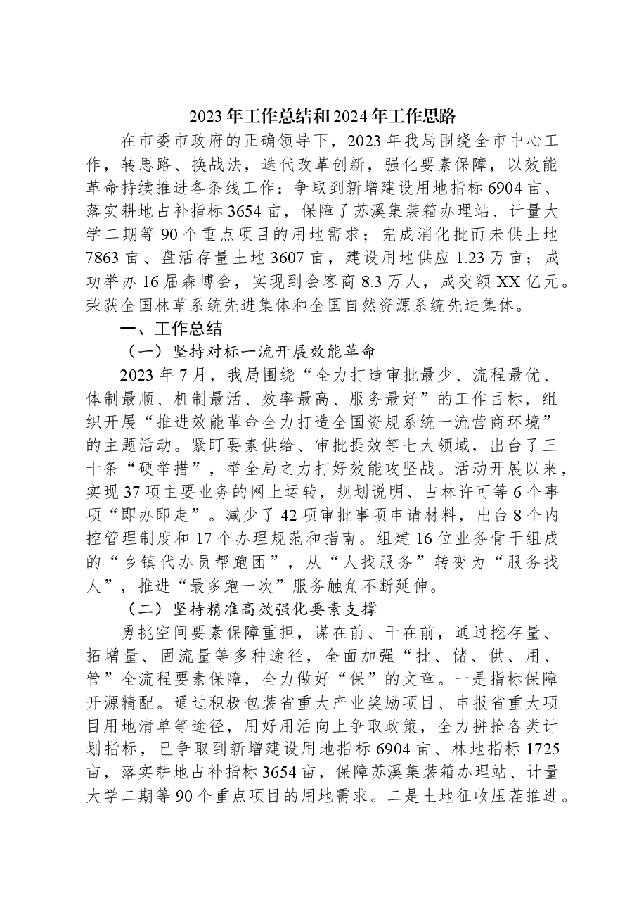 2023年工作总结和2024年工作思路(1).docx,第1页预览