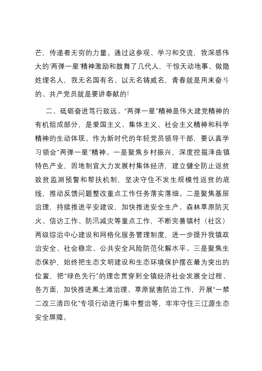 “两弹一星”精神主题教育研讨发言材料.docx,第2页预览